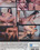 British Anal Sluts  3 Vorschau
