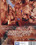 Naked Impulses  2 Vorschau