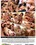 Twink Boys Party Collection  1 Vorschau