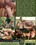 Scout Boys  1 Vorschau