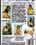 Up & Cummers - Number 33 Vorschau