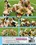 World Cup Girls Vorschau