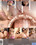 Point Of View Vorschau