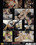Sluts At Orgasm Work Vorschau