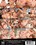Desperate Anal MILFs 4																								 																			 Vorschau