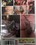 Cougars Insatiables Vol. 1 Vorschau