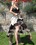Vixens Pony Ride / Amritas Bound Filly Vorschau