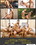 Tropical Getaway  2 Vorschau