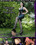 Pleasure Pain Training Vorschau