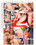 Curves-Trans Edition 68 Vorschau