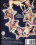 Stars & Sternchen Vorschau