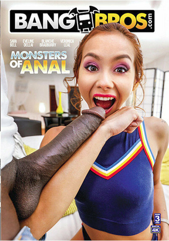 Monsters of Anal DVD Image